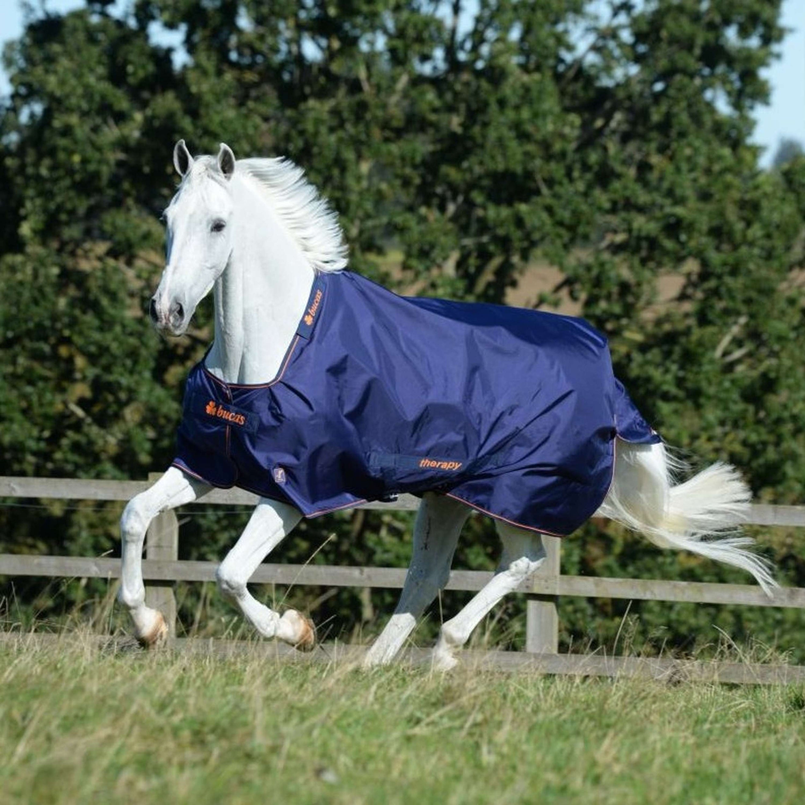 Bucas Therapy Turnout 150g Navy Orange
