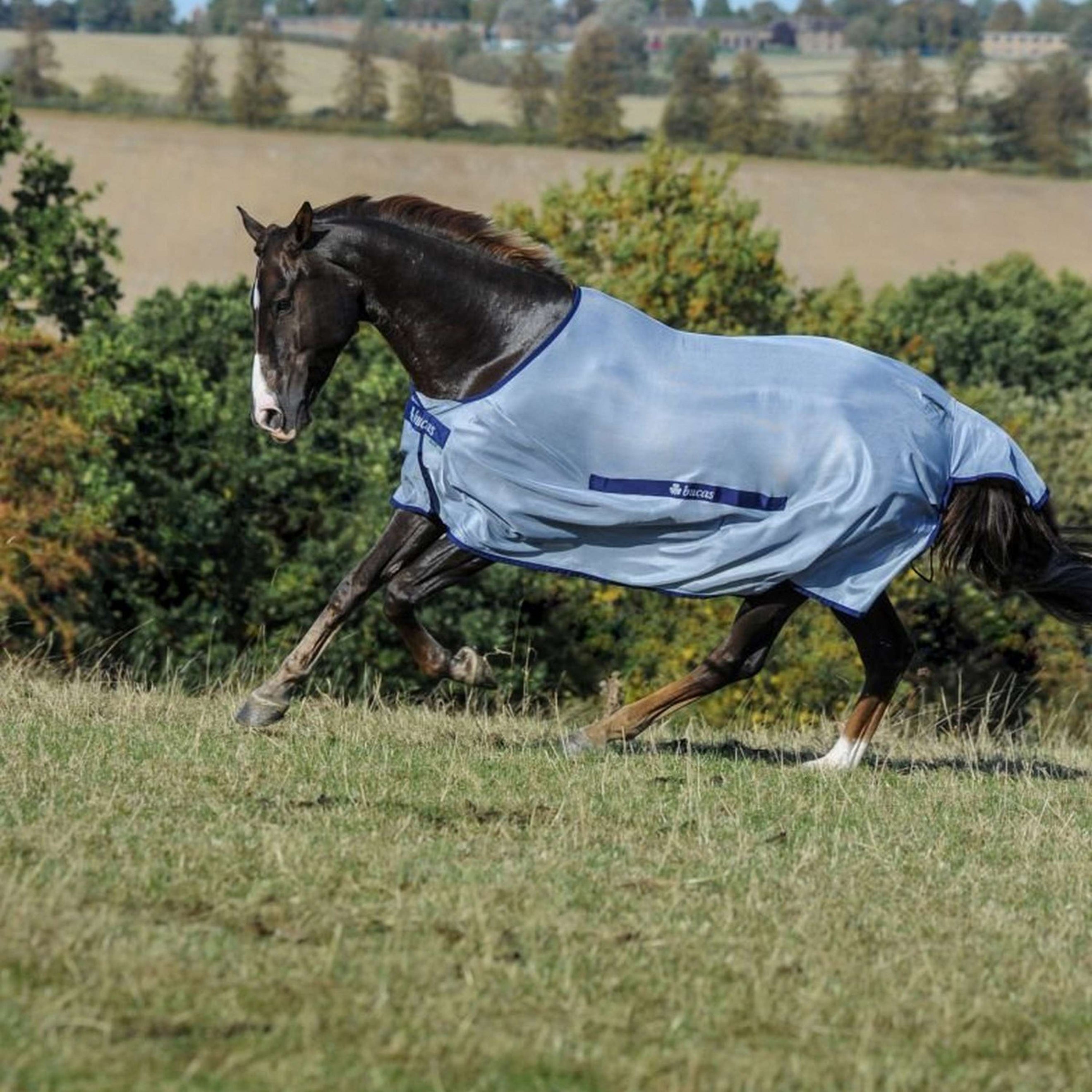 Bucas Buzz-Off Classic Blau Bucas Buzz-Off Classic Blau