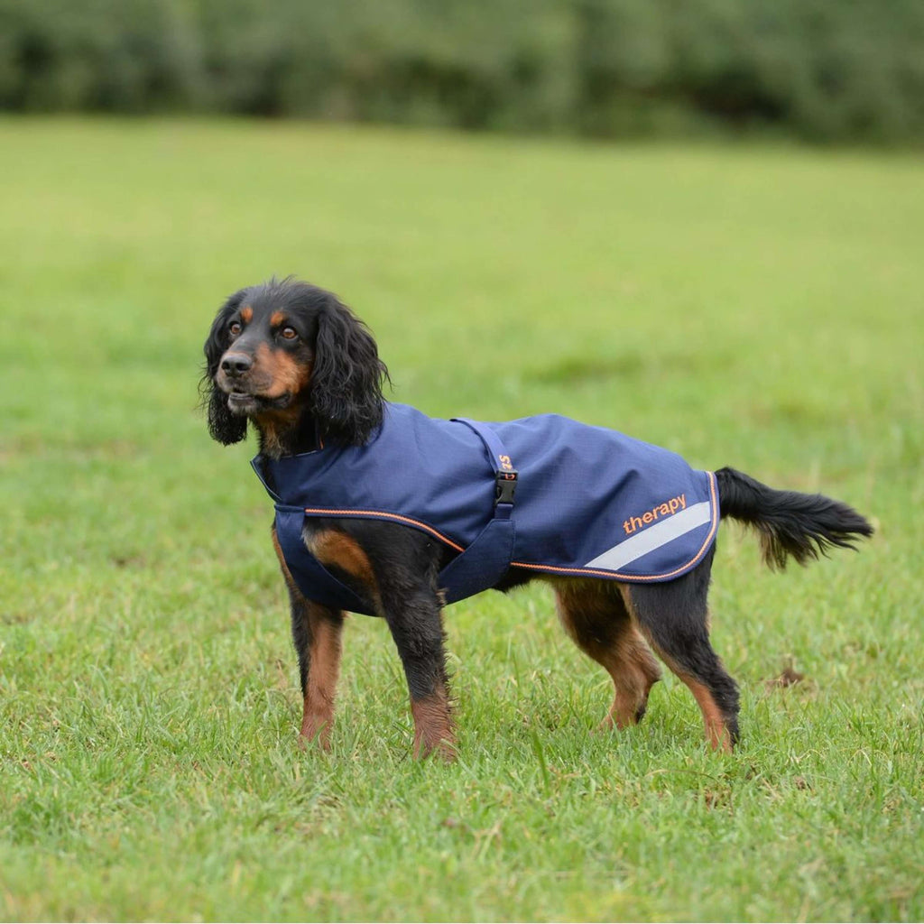 Bucas Therapy Dog Rug Navy Orange