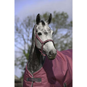 Bucas Halfter Dublin Fohlen Himbeerrot