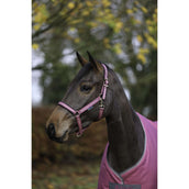 Bucas Halfter Dublin Fohlen Himbeerrot