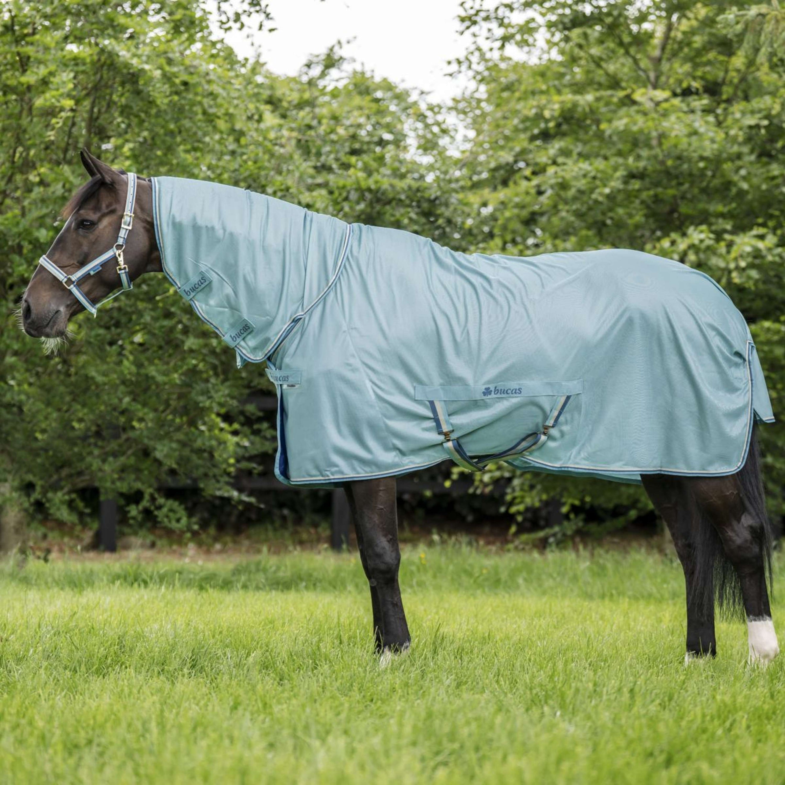 Bucas Freedom Fly Sheet Full Neck Turquoise Bucas Freedom Fly Sheet Full Neck Turquoise