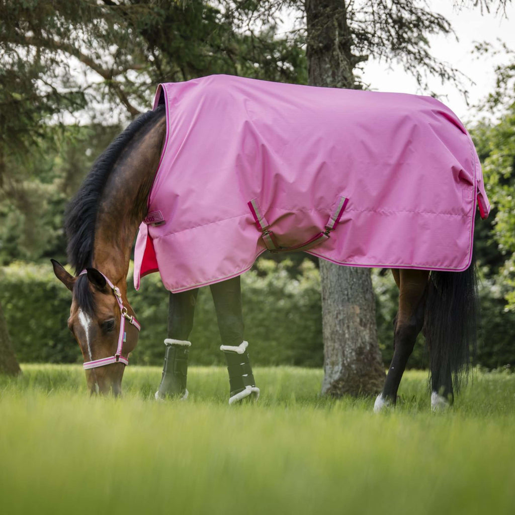 Bucas Freedom Turnout Light 0g Aurora Pink