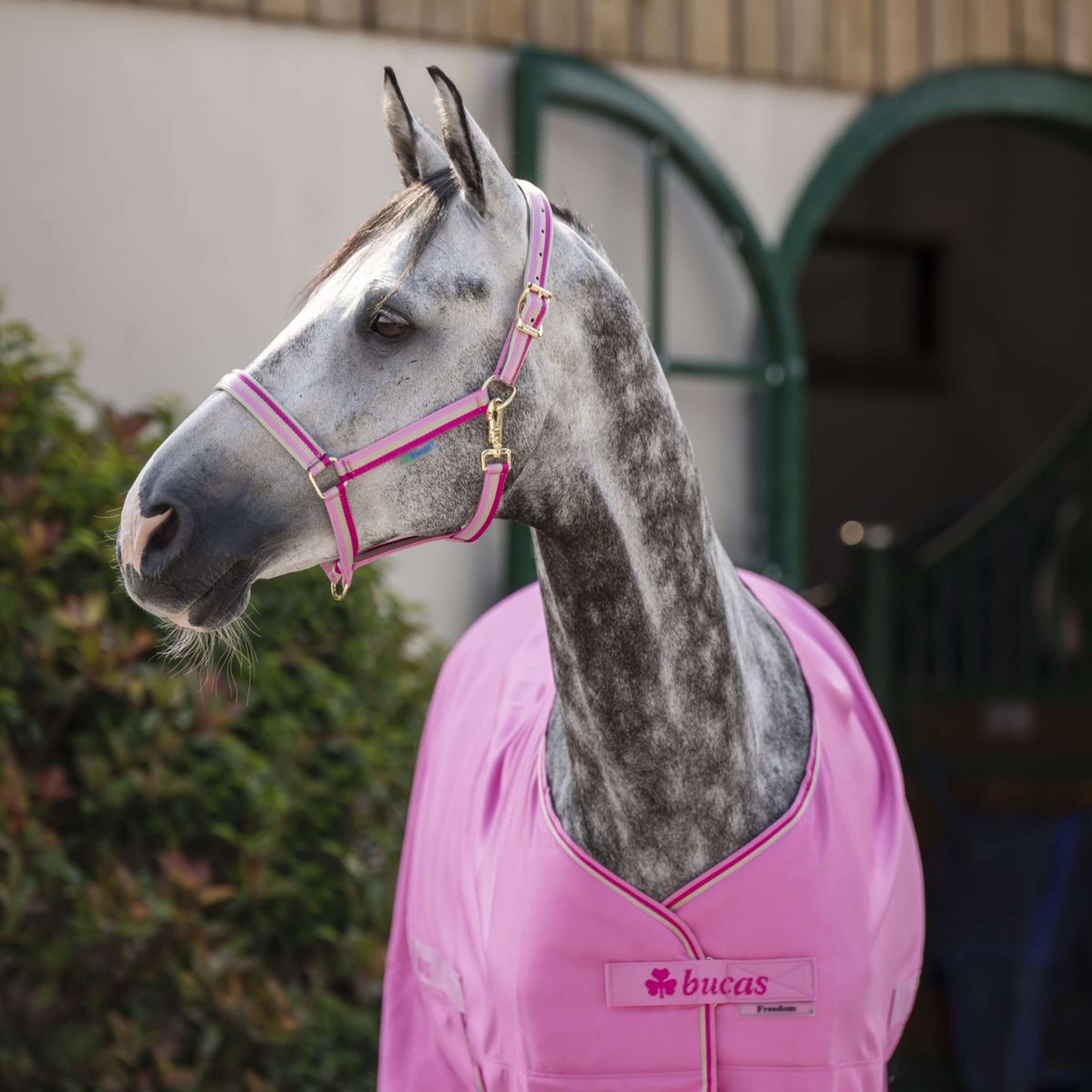 Bucas Freedom Twill Sheet 0g Aurora Pink Bucas Freedom Twill Sheet 0g Aurora Pink