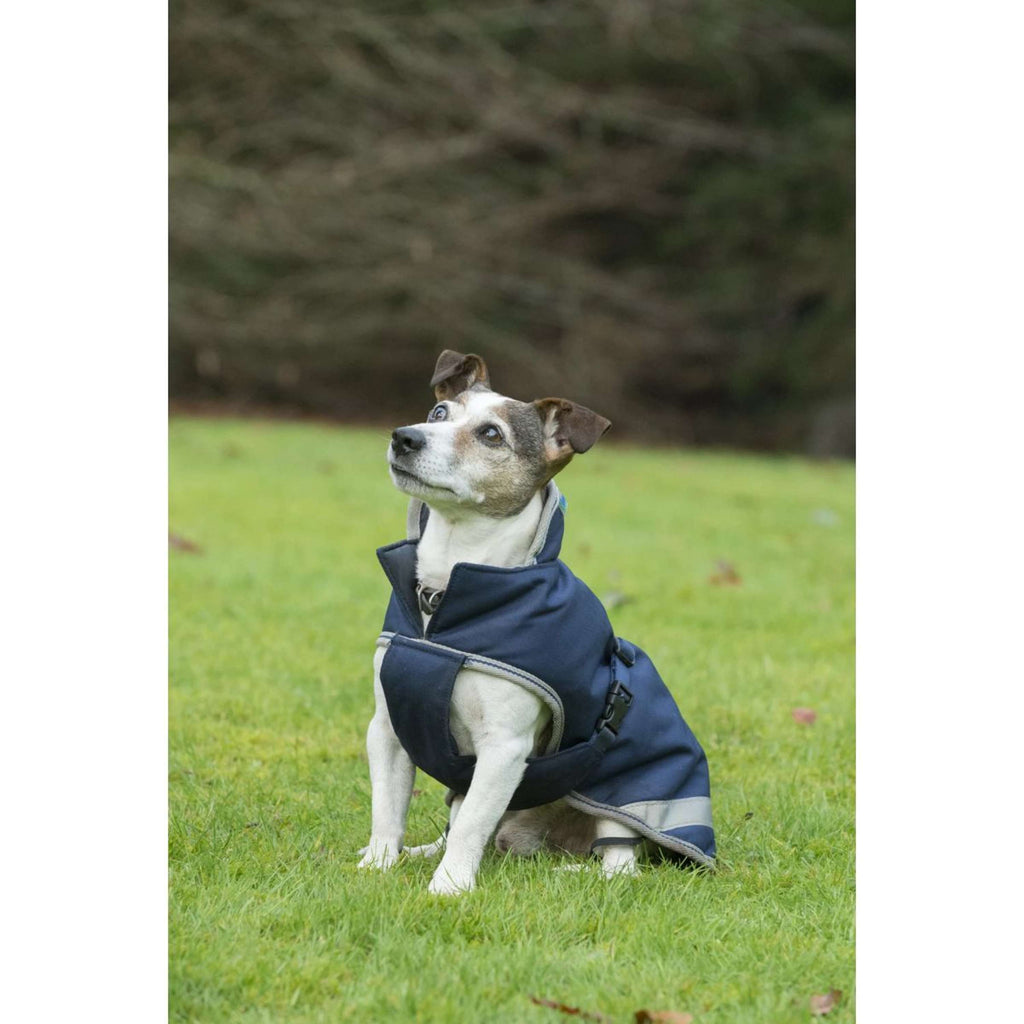 Bucas Freedom Dog Rug 300g Navy