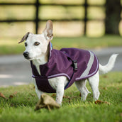 Bucas Freedom Dog Rug Blackberry