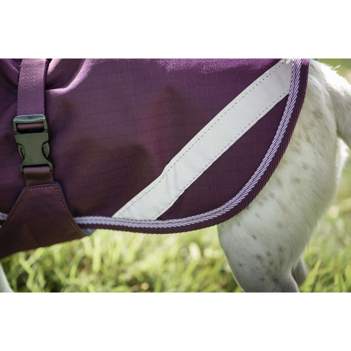 Bucas Freedom Dog Rug Blackberry