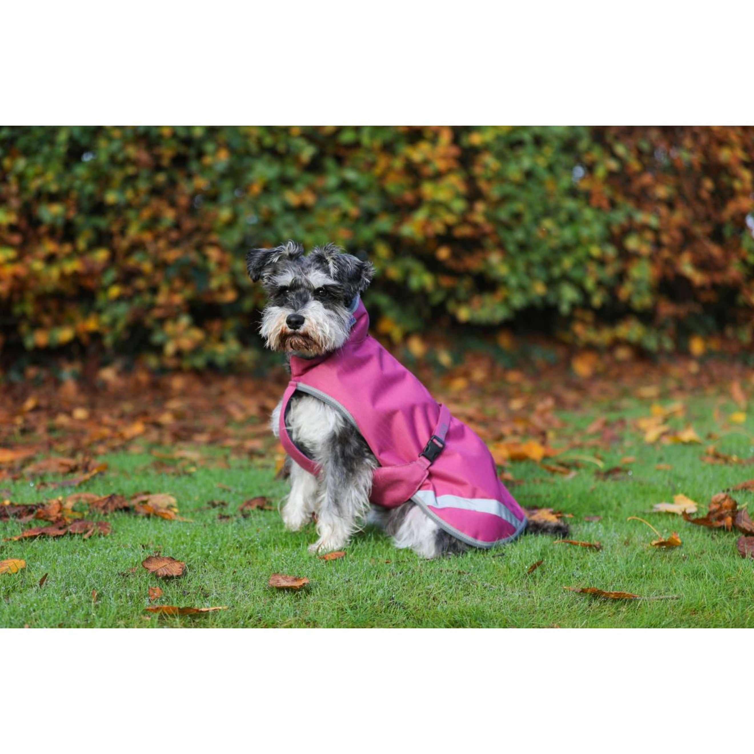 Bucas Freedom Dog Rug 50g Himbeerrot