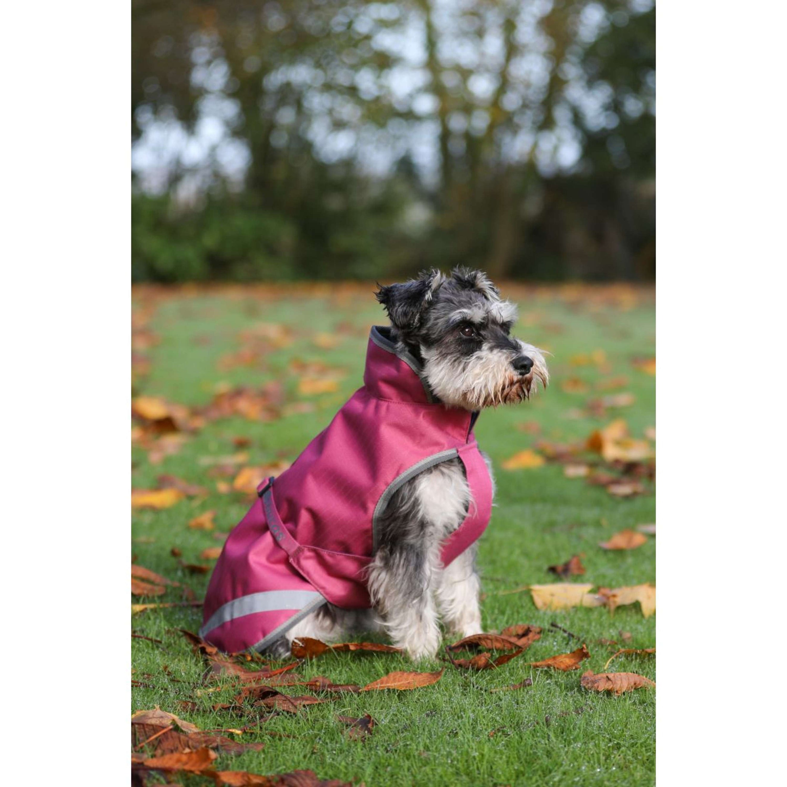 Bucas Freedom Dog Rug 50g Himbeerrot