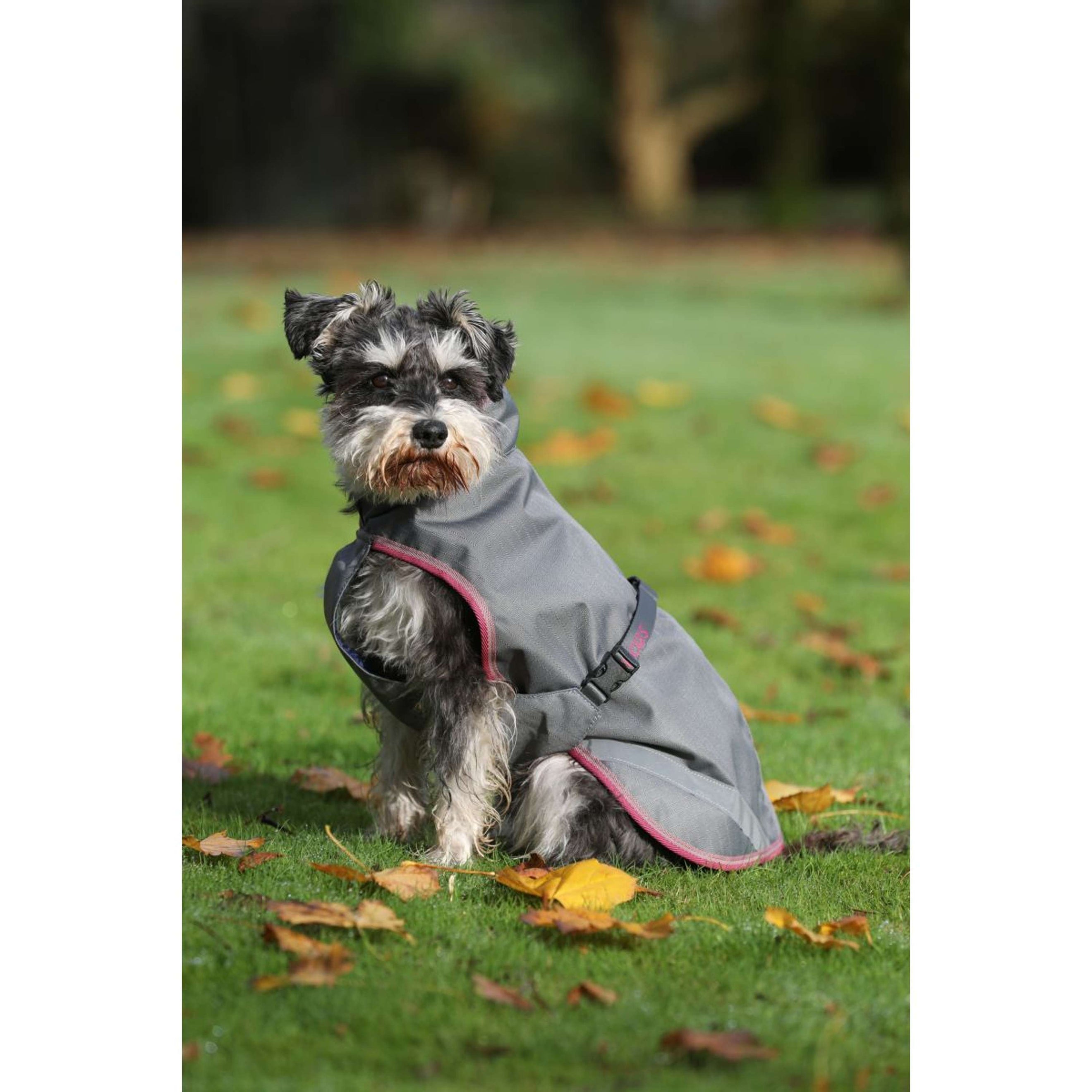 Bucas Freedom Dog Rug 150g Smoke Grey