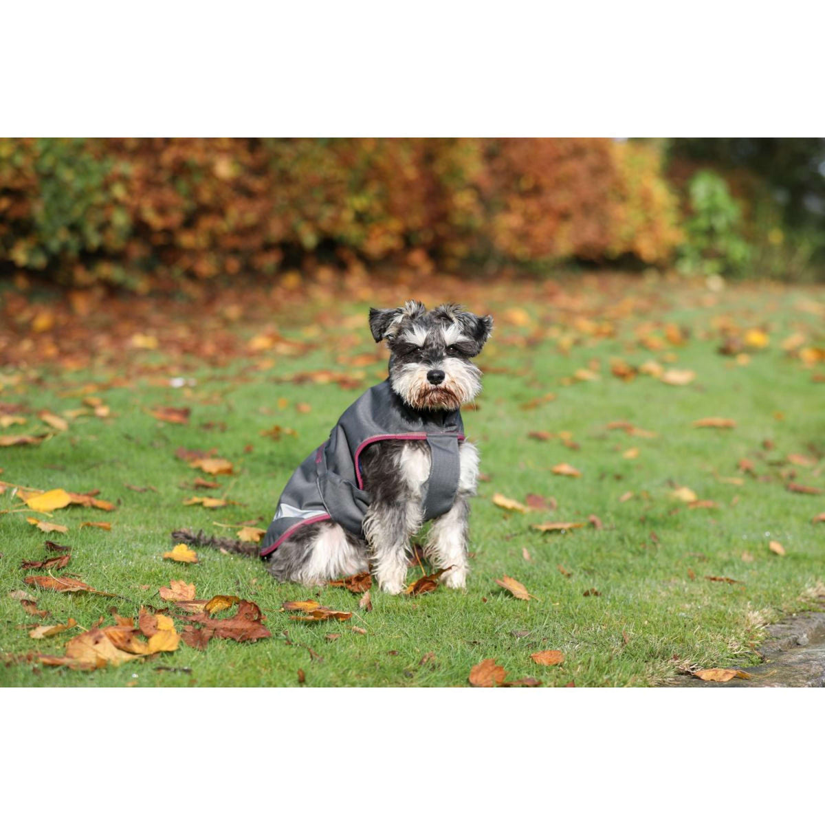 Bucas Freedom Dog Rug 50g Smoke Grey