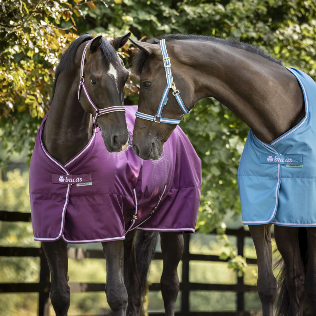Bucas Freedom Stalldecke 300g Blackberry