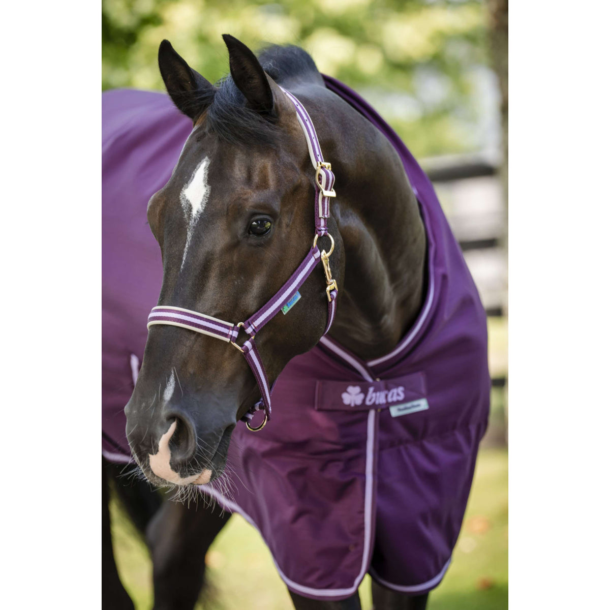 Bucas Freedom Stalldecke 150g Blackberry