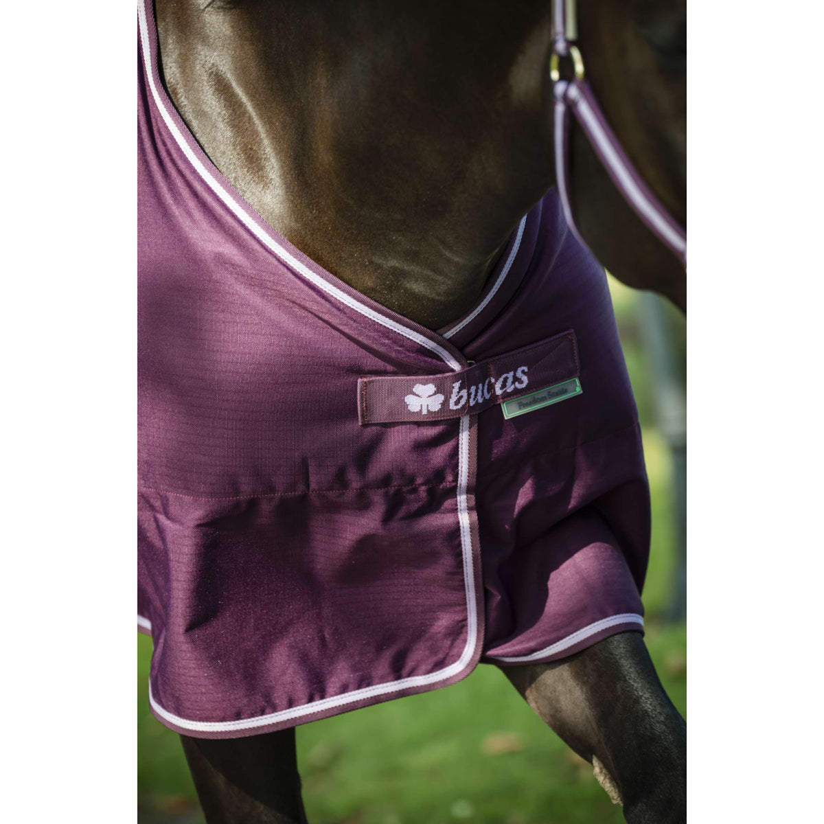Bucas Freedom Stalldecke 300g Blackberry