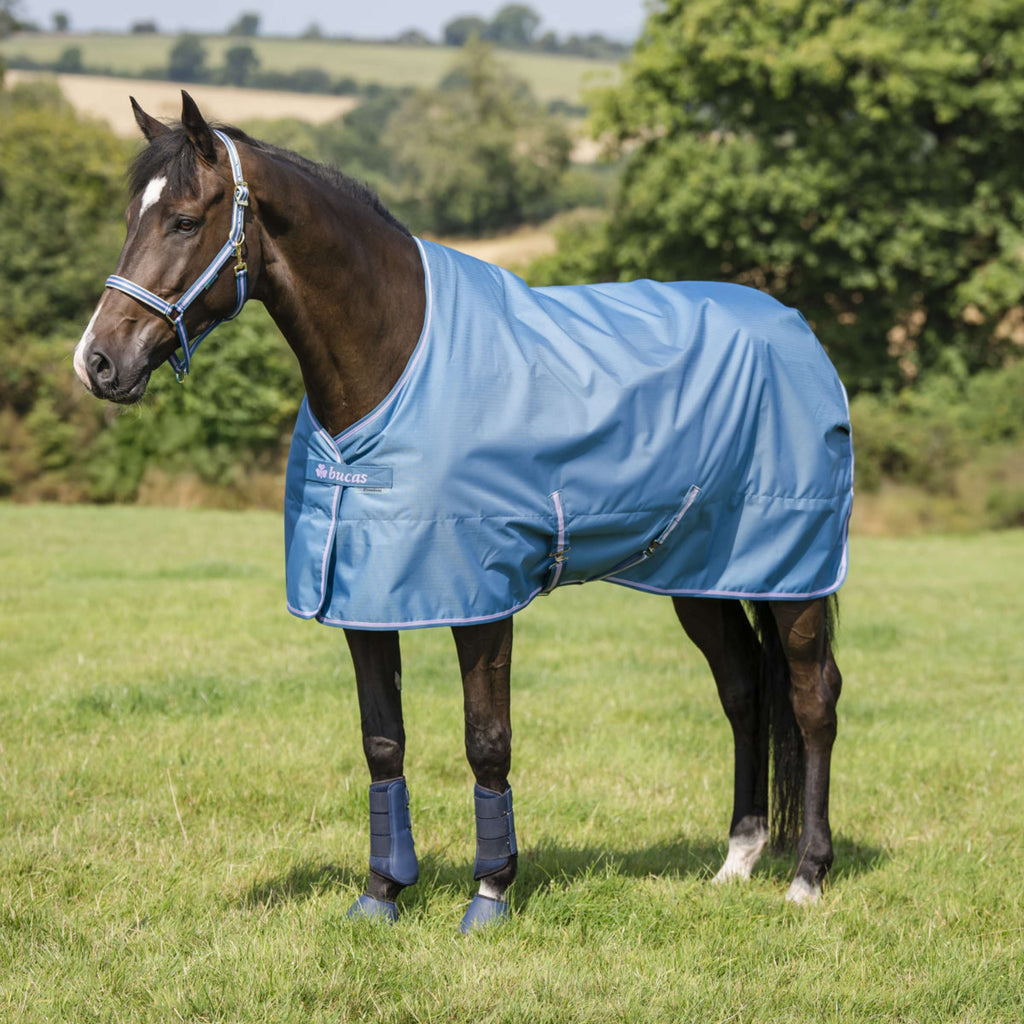 Bucas Halfter Dublin Blueberry