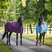 Bucas Freedom Turnout Light 0g Blackberry