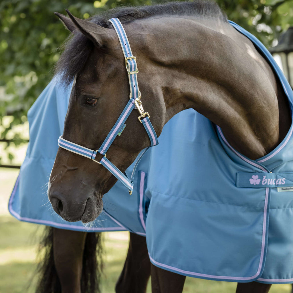 Bucas Freedom Turnout 300g Blueberry