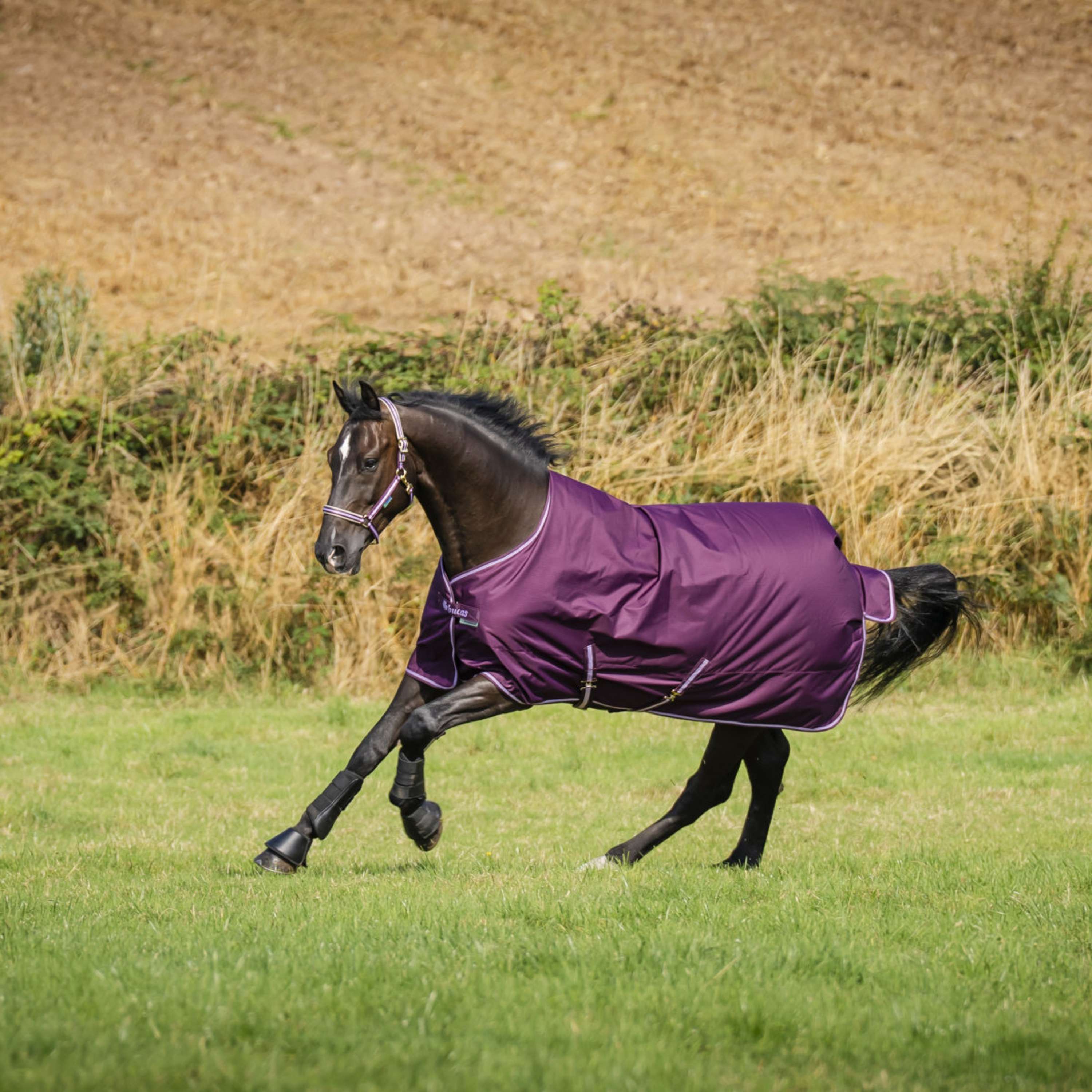 Bucas Freedom Turnout 150g Blackberry