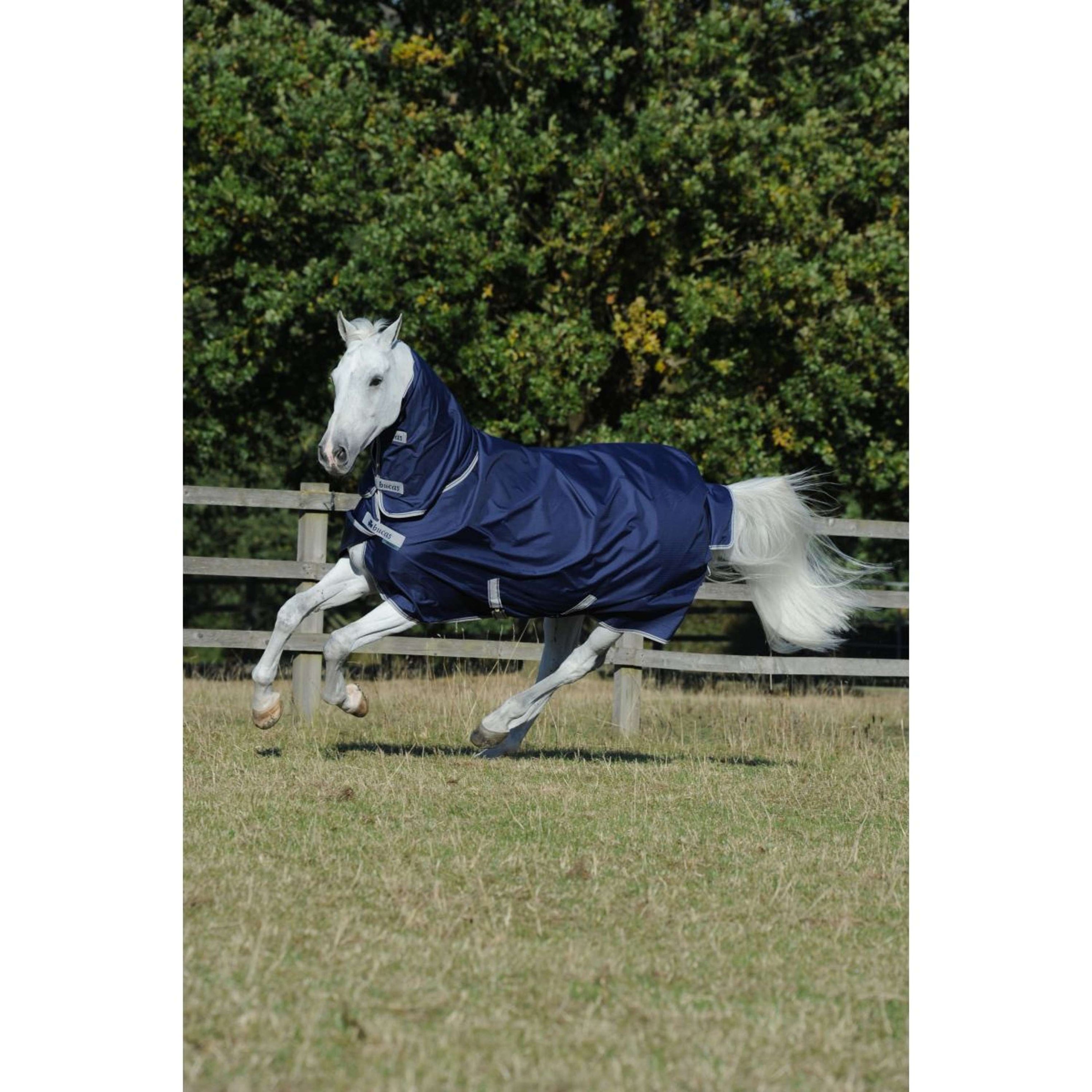 Bucas Freedom Turnout Full Neck 300g Navy/Silber Bucas Freedom Turnout Full Neck 300g Navy/Silber
