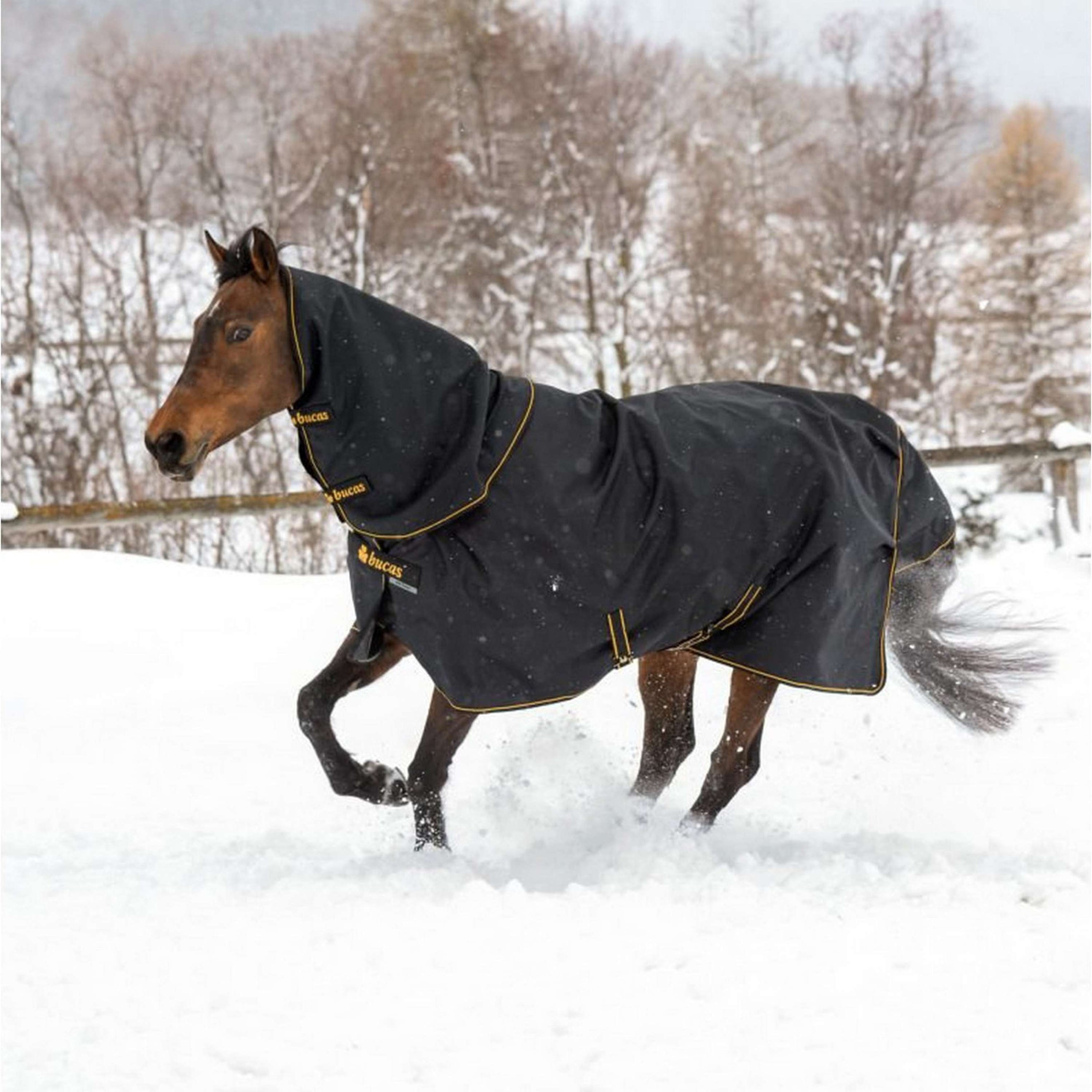 Bucas Irish Turnout Light 50g + Neck Schwarz/Gold