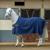 Bucas Panel Prize Cooler Navy/Gold