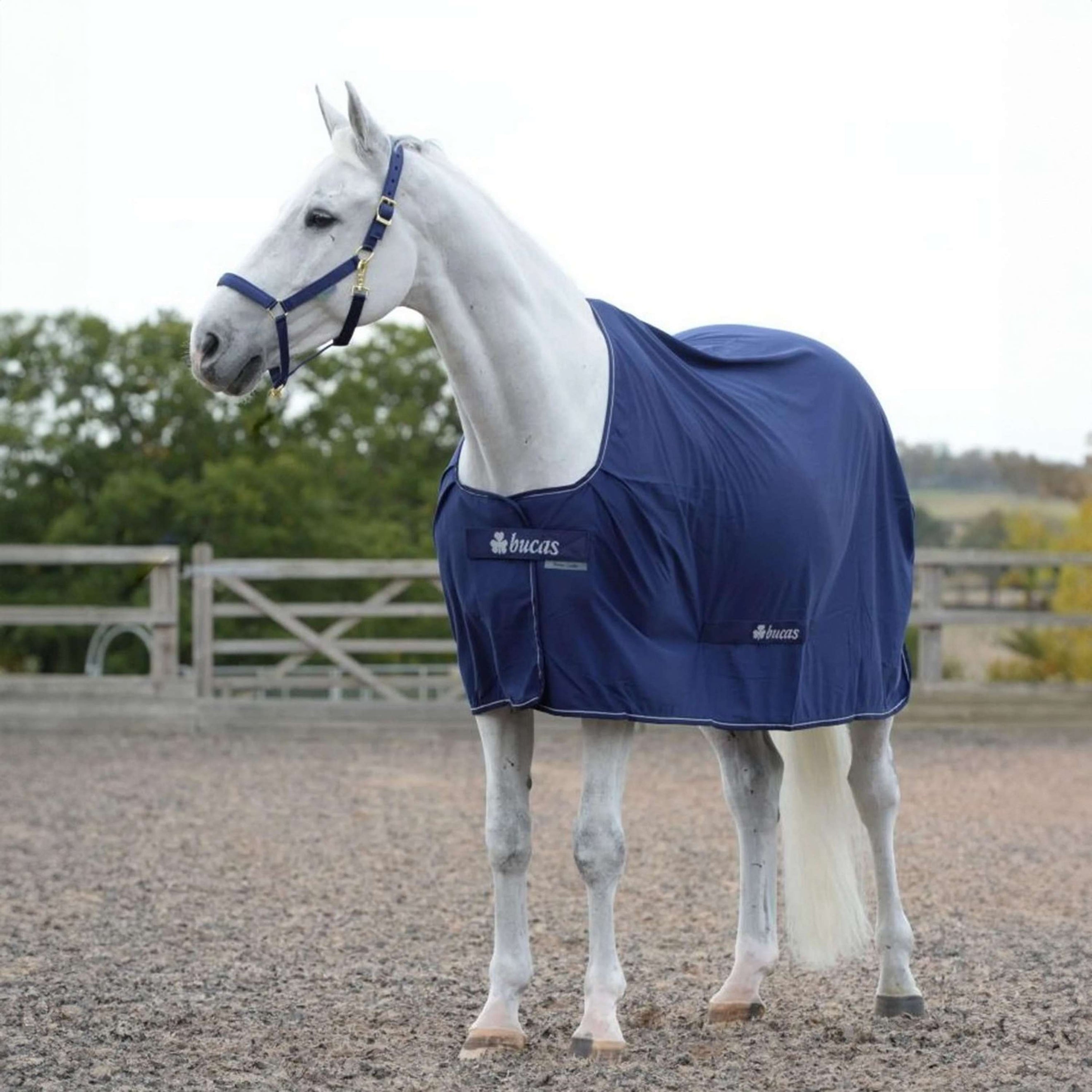 Bucas Power Cooler Navy/Silber Bucas Power Cooler Navy/Silber