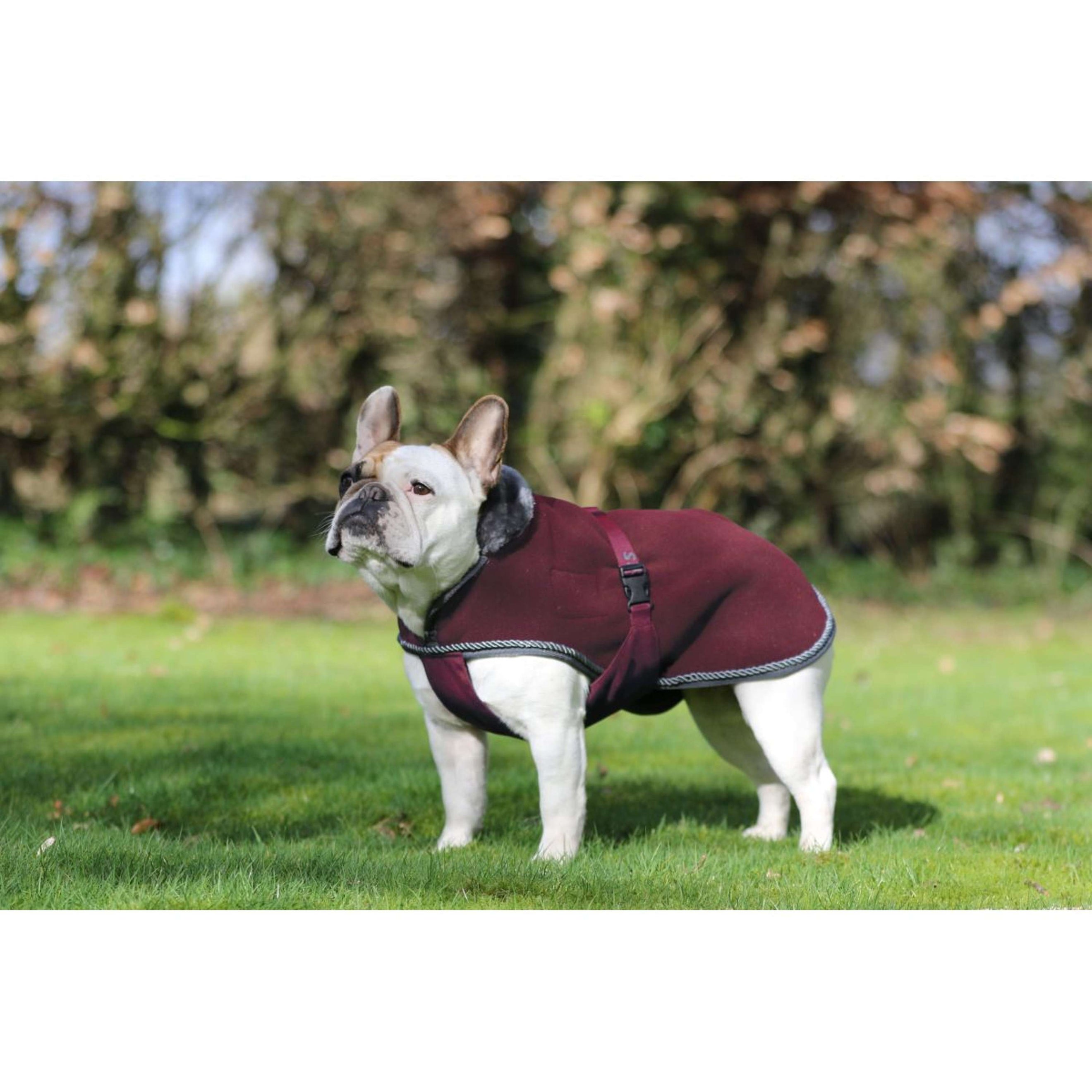 Bucas Hundedecke Show-Line Burgundy/Grau Bucas Hundedecke Show-Line Burgundy/Grau