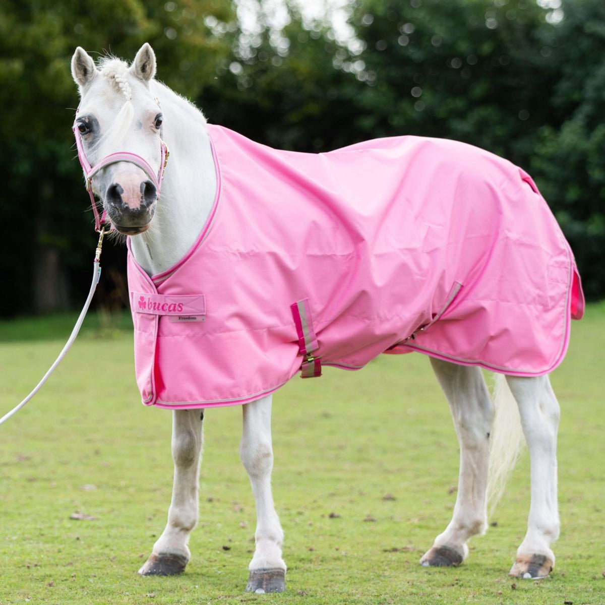 Bucas Lead Rein Dublin Padded Aurora Pink