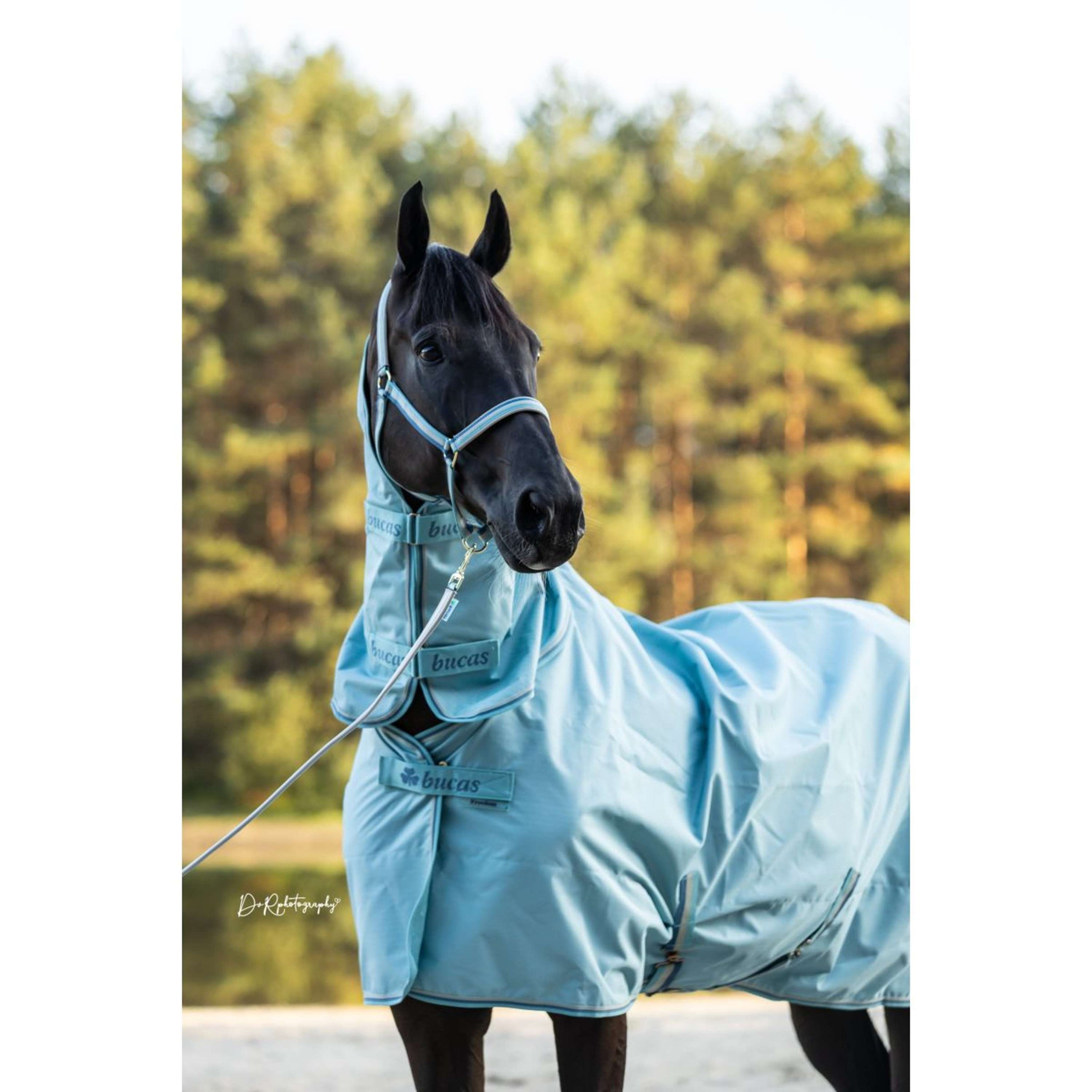 Bucas Lead Rein Dublin Padded Turquoise