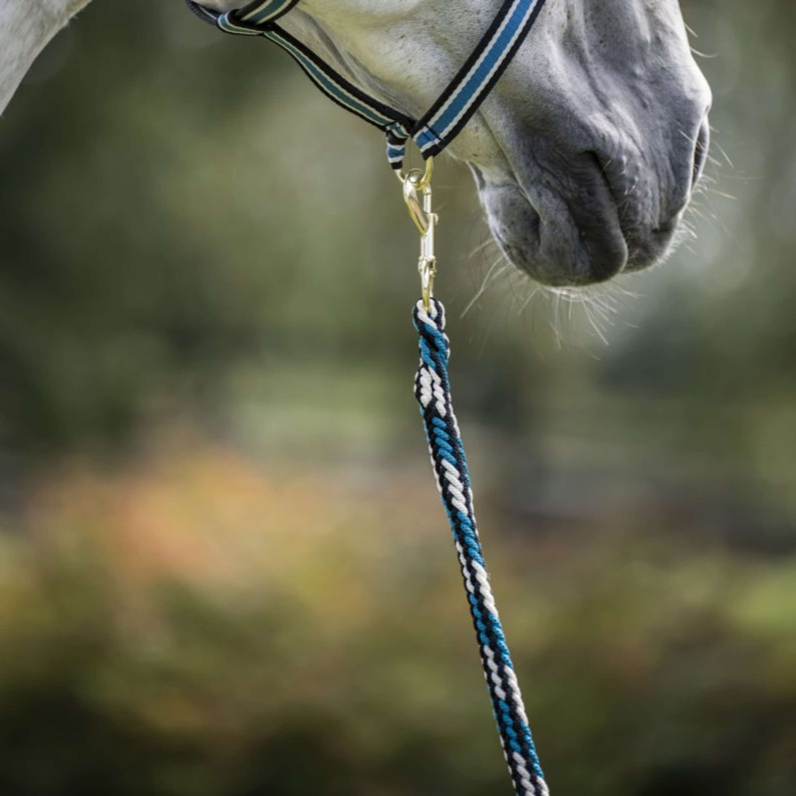 Bucas Führstrick Comfort mit Karabinerhaken Sapphire