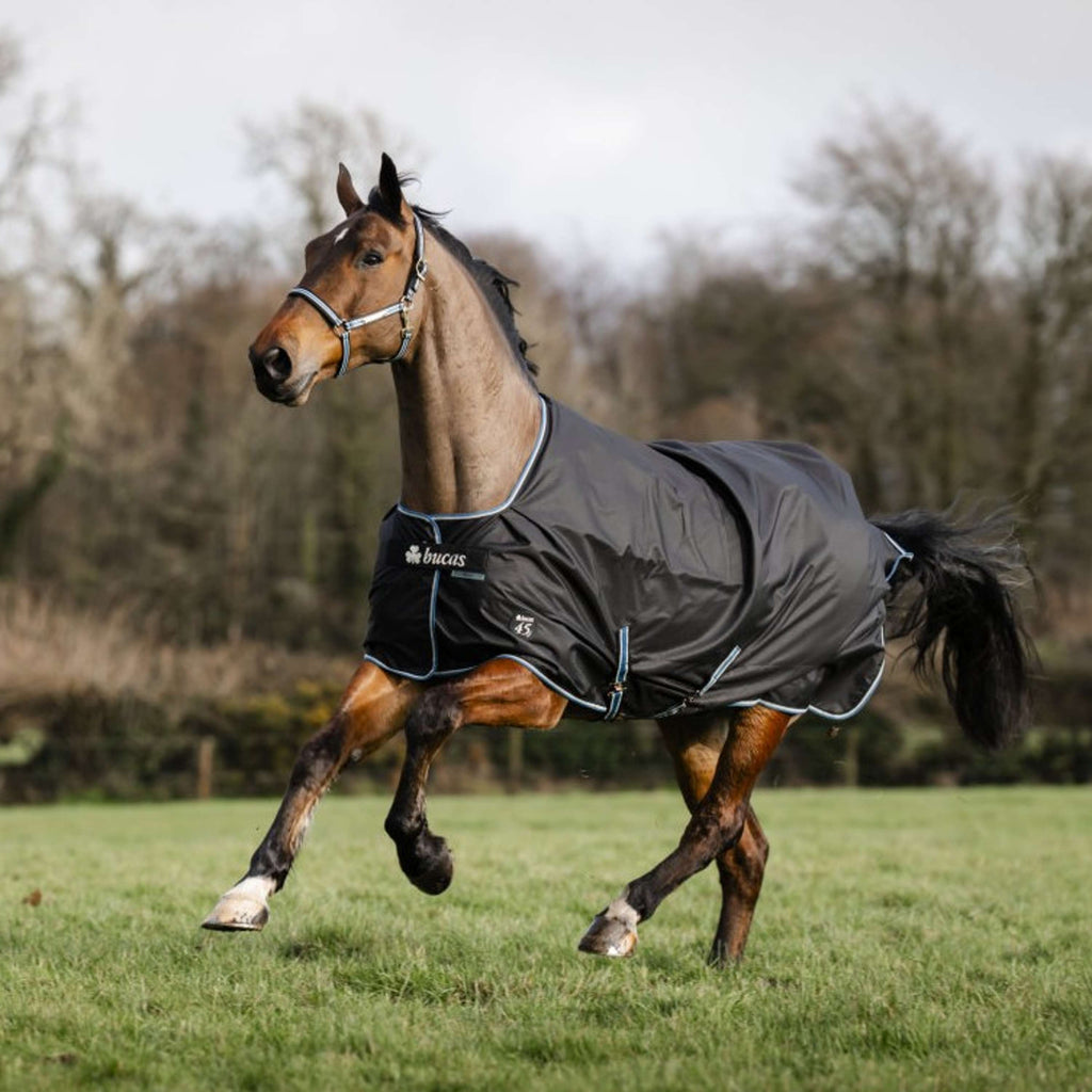 Bucas Anniversary Turnout Light Stay-dry 0g Sapphire
