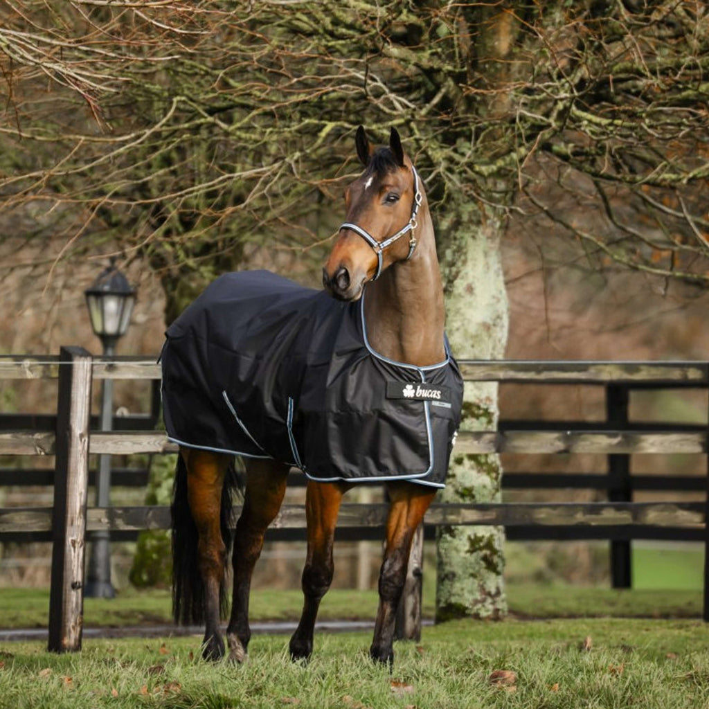 Bucas Anniversary Turnout Light Stay-dry 0g Sapphire
