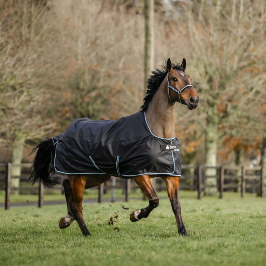 Bucas Anniversary Turnout Light Stay-dry 0g Sapphire