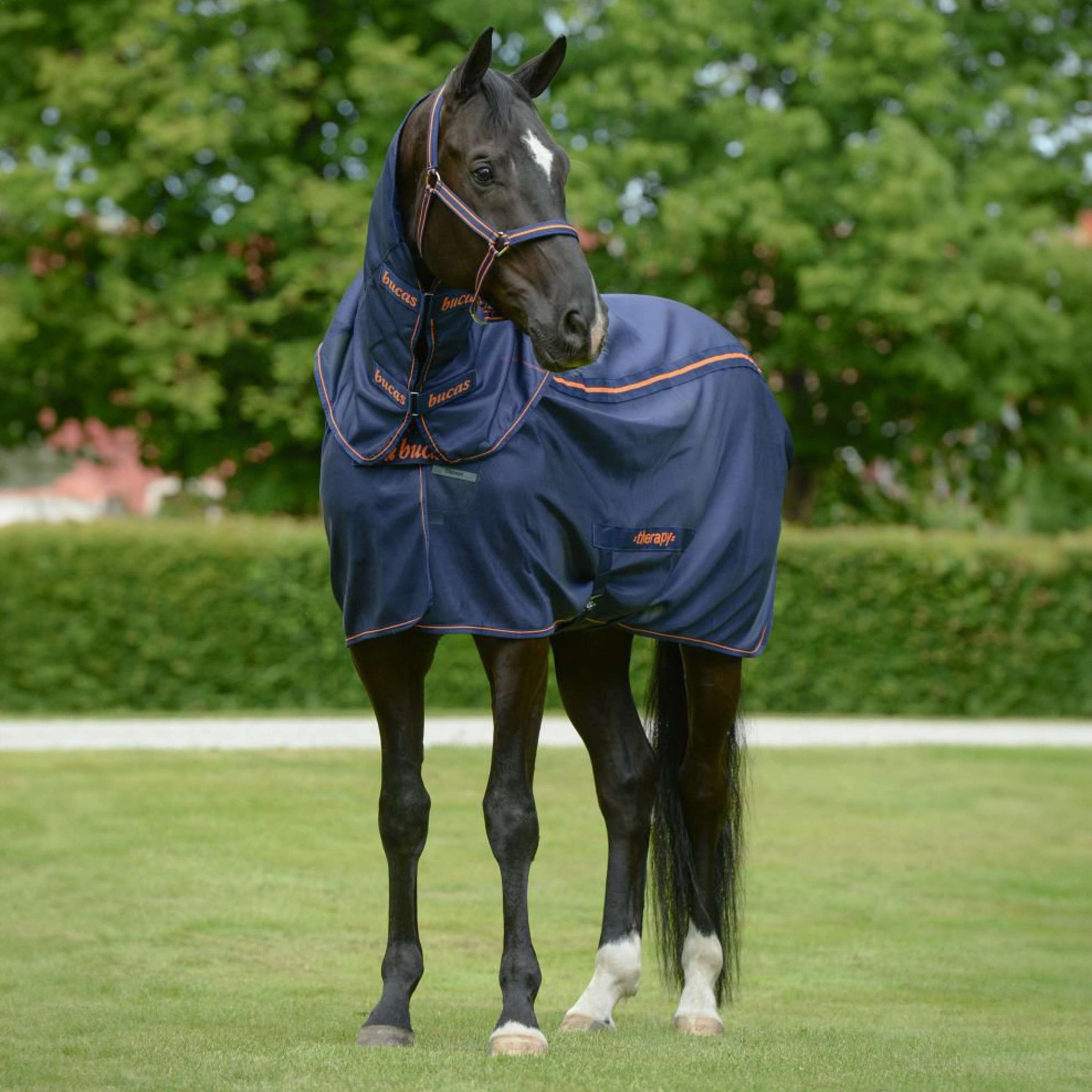 Bucas Therapy Mesh Cooler Navy Orange Bucas Therapy Mesh Cooler Navy Orange