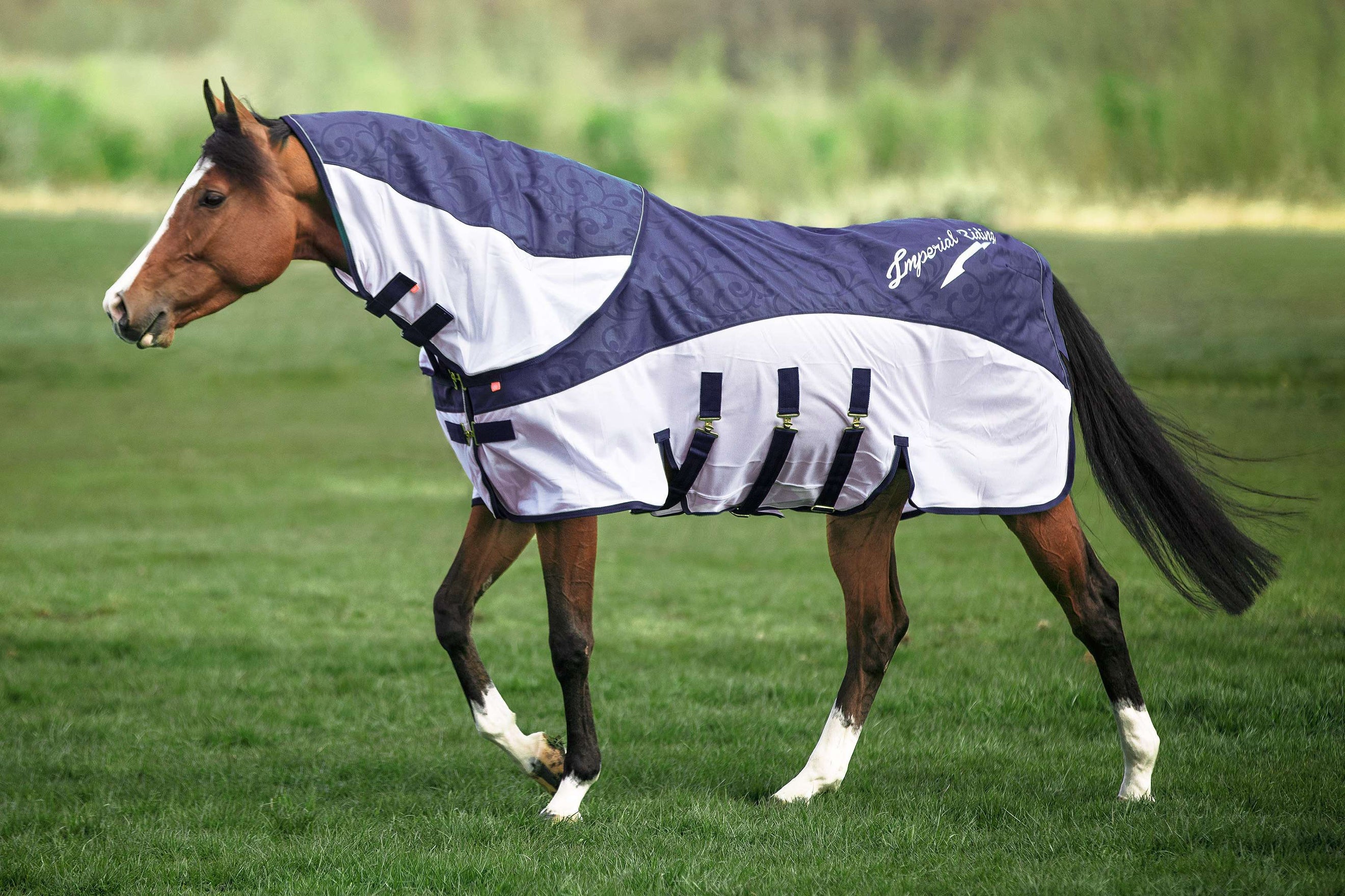 Imperial Riding Halsstück IRHSuper-Dry Navy Imperial Riding Halsstück IRHSuper-Dry Navy