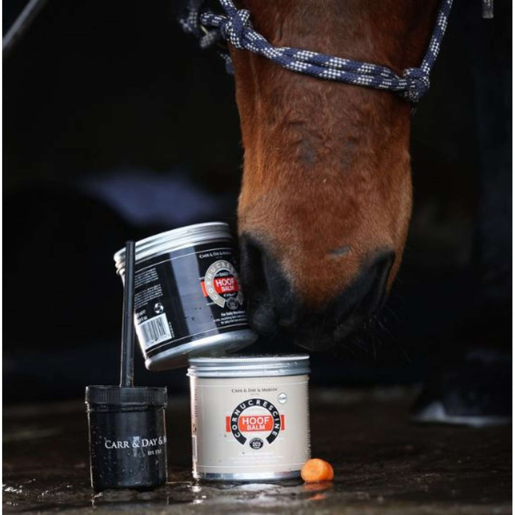 Carr & Day & Martin Cornucrescine Hoof Balm Black
