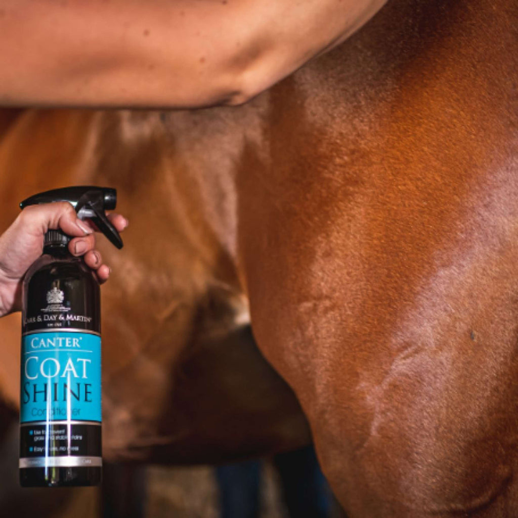 Carr & Day & Martin Glanzspray Canter Coat Shine