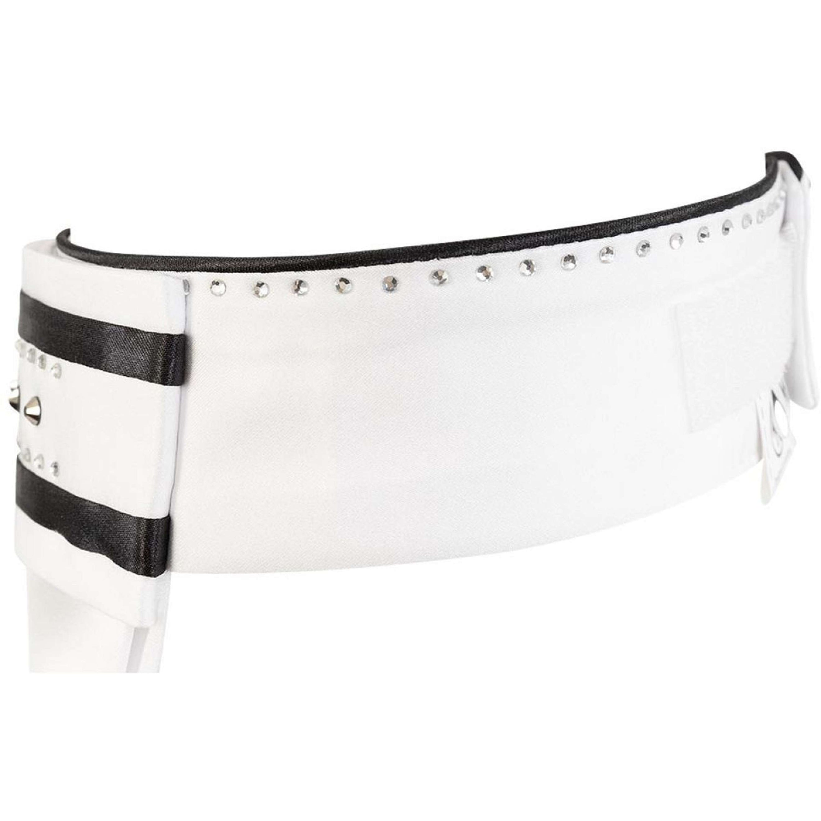 BR Plastron Maratea Meteorite