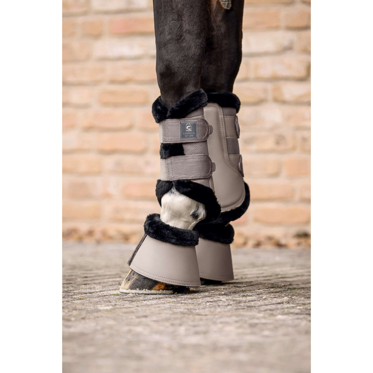 Cavallo Hufglocken CavalJodi Latte