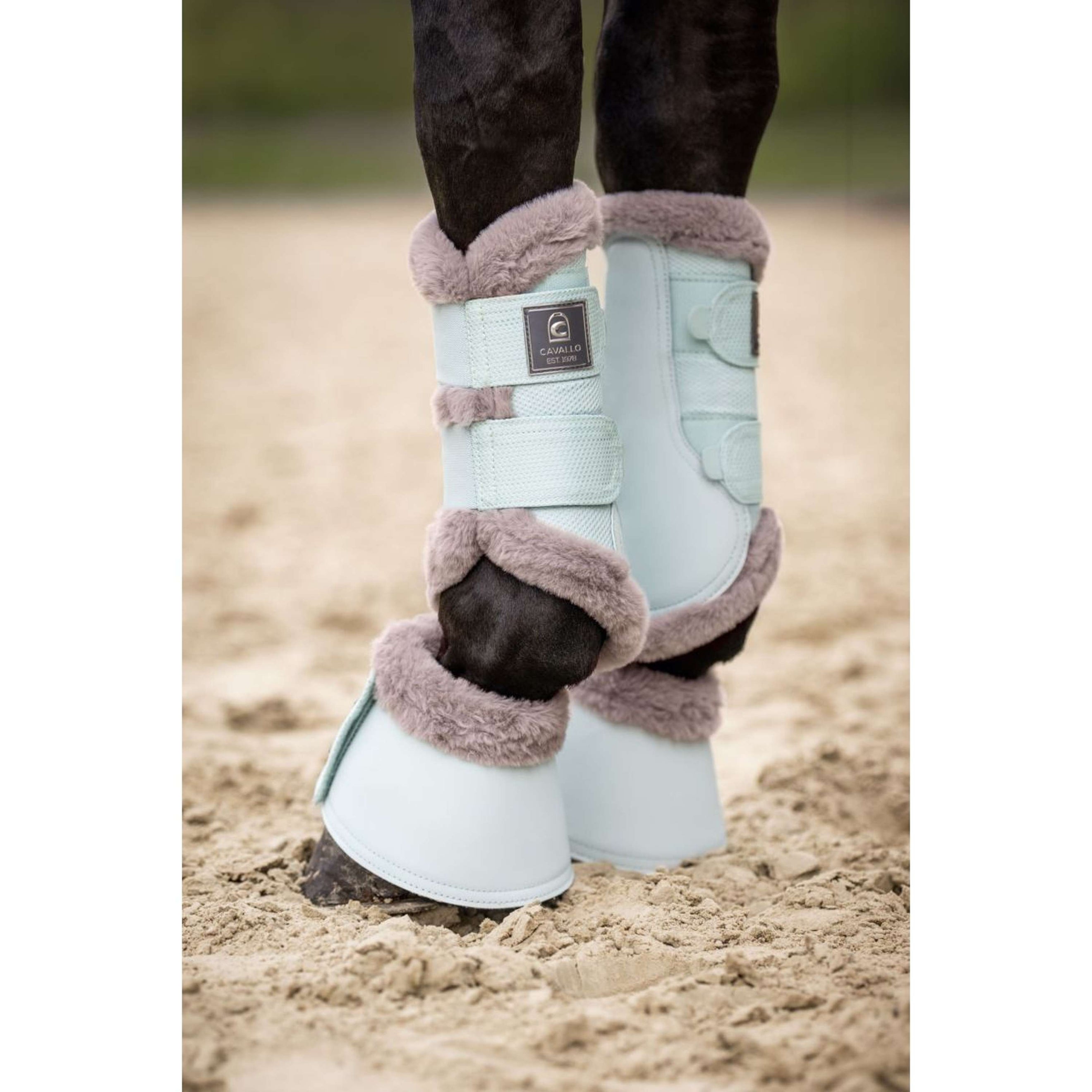 Cavallo Dressage Boots CavalJoca Crystal Blue Cavallo Dressage Boots CavalJoca Crystal Blue