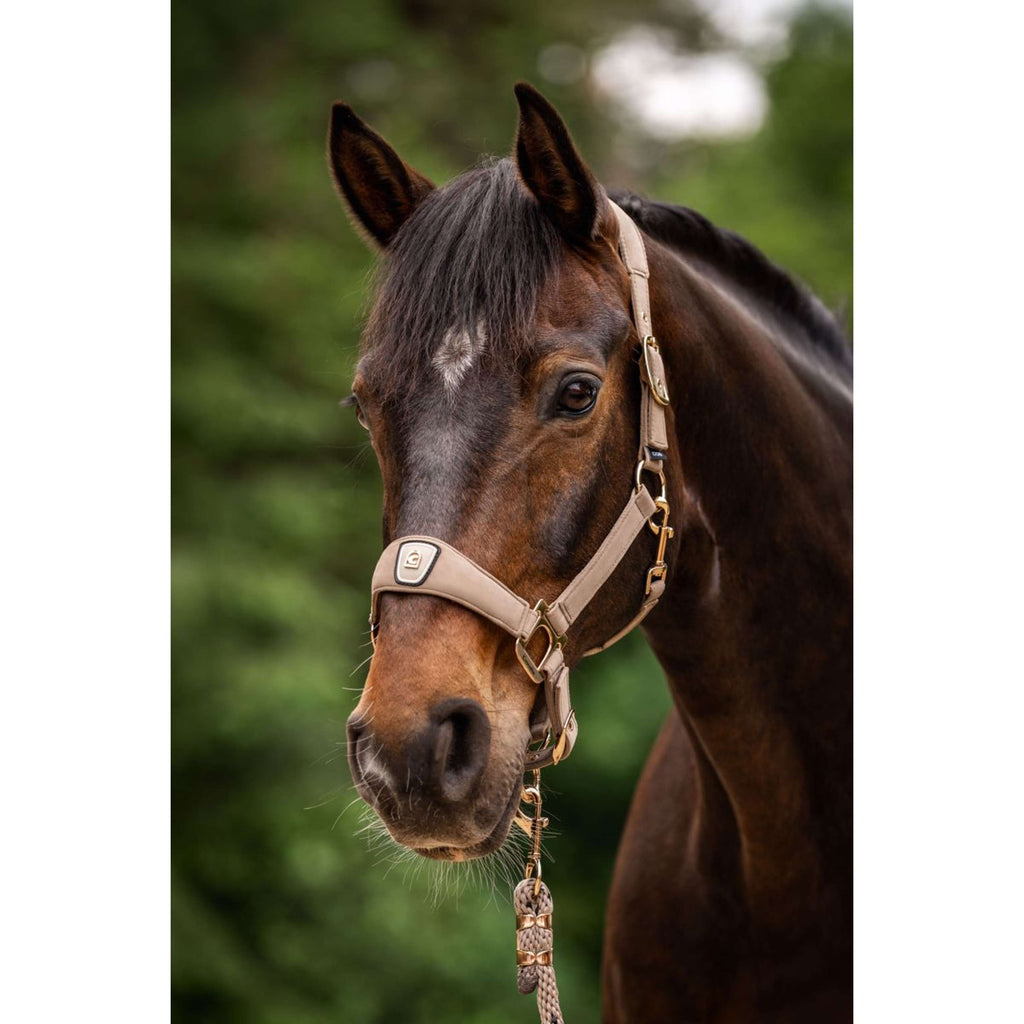 Cavallo Halfter CavalPawel Mocha Latte
