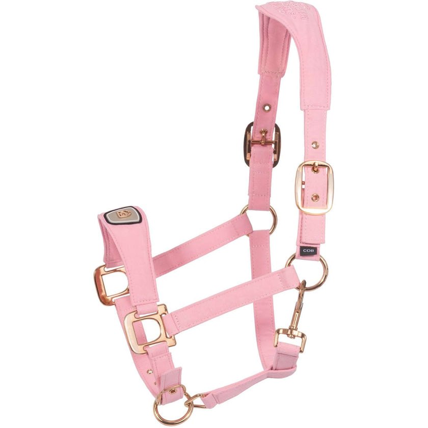 Cavallo Halfter CavalPawel Powder Pink Cavallo Halfter CavalPawel Powder Pink