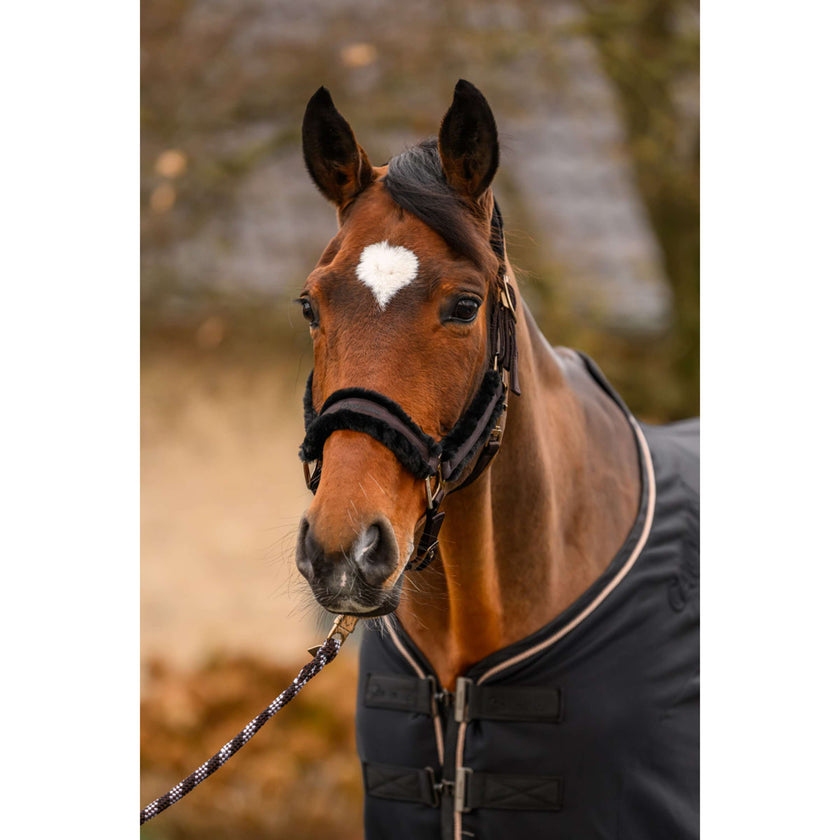 Cavallo Halfter CavalJero mit Fell Café Noir