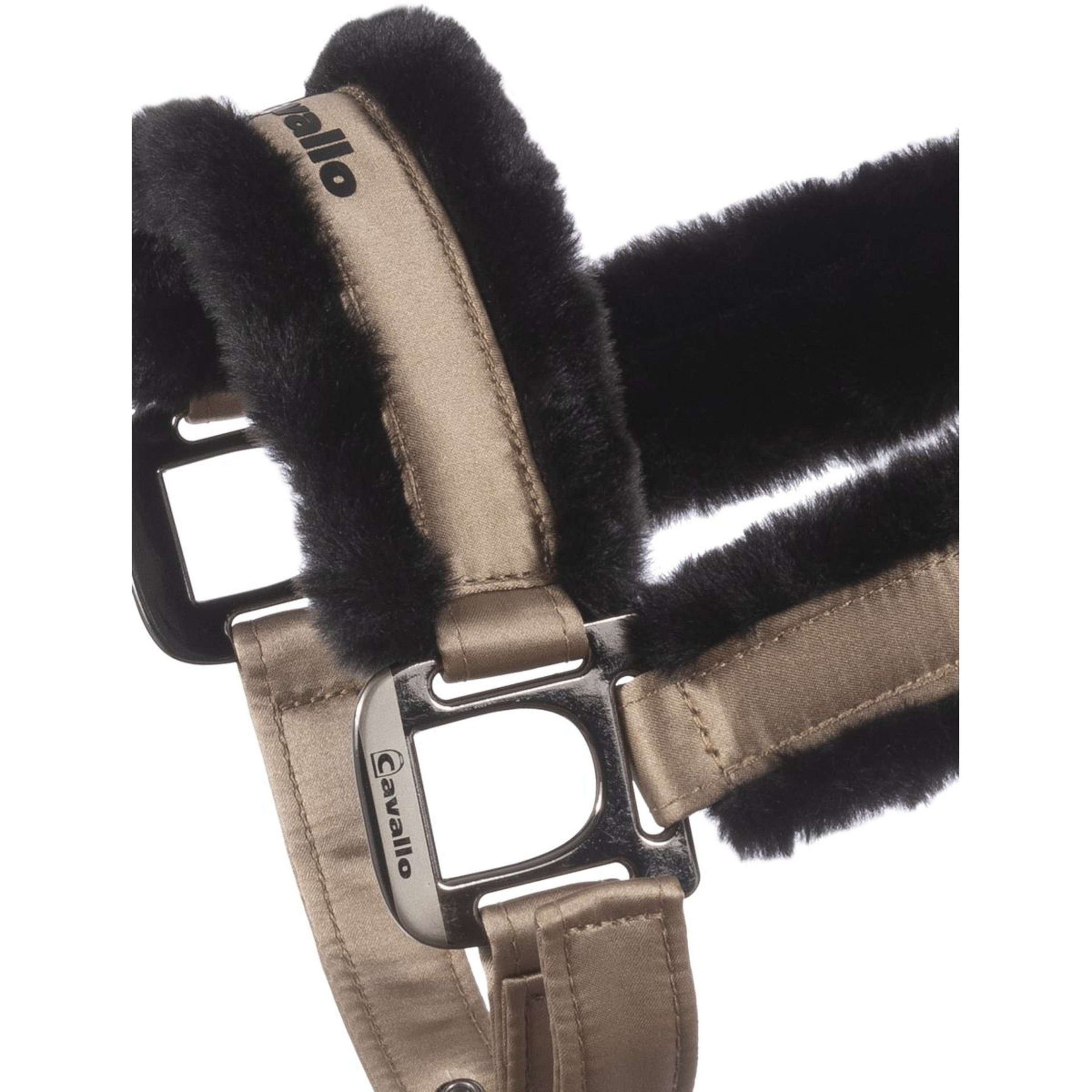 Cavallo Halfter Cavaljero Biscuit Cavallo Halfter Cavaljero Biscuit