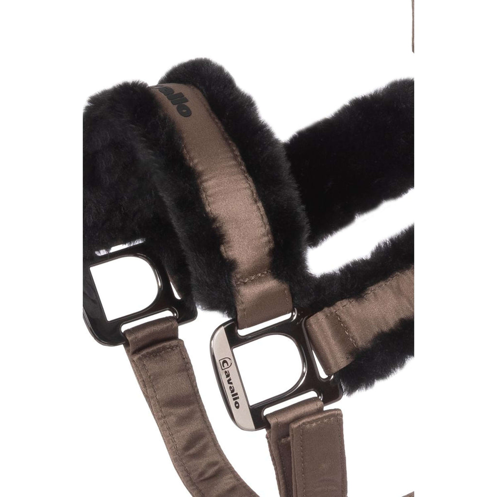 Cavallo Halfter CavalJero Mocha Latte