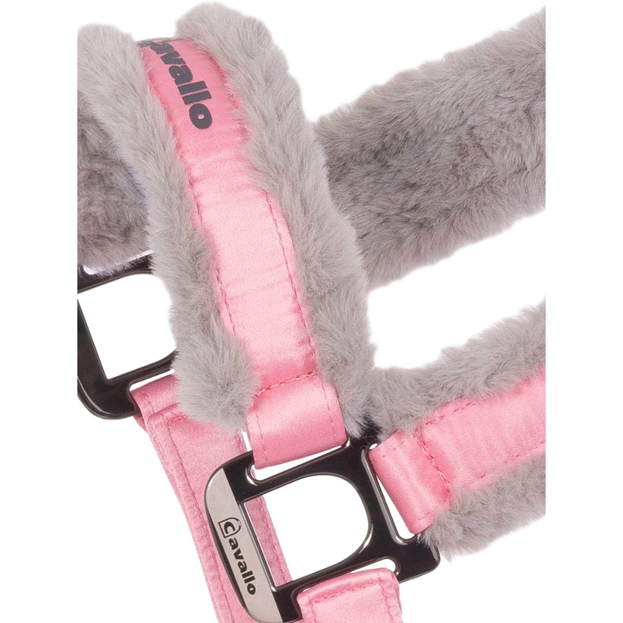 Cavallo Halfter CavalJero Powder Pink