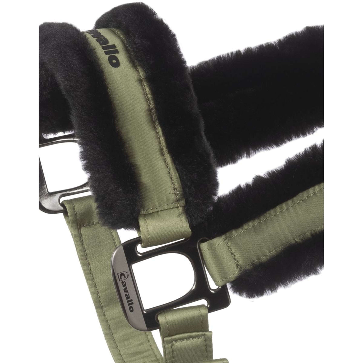 Cavallo Halfter Cavaljero Tea Leaf