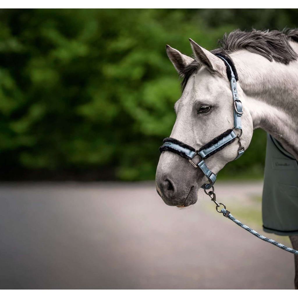 Cavallo Halfter CavalJero Soft Aqua