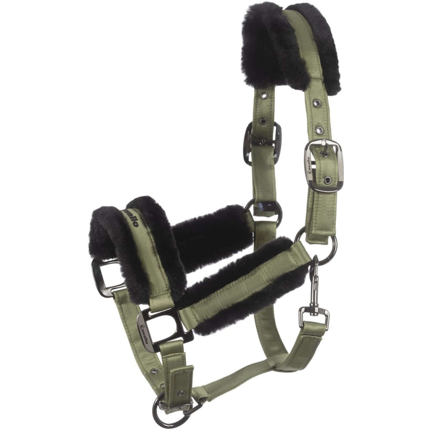 Cavallo Halfter Cavaljero Tea Leaf Cavallo Halfter Cavaljero Tea Leaf