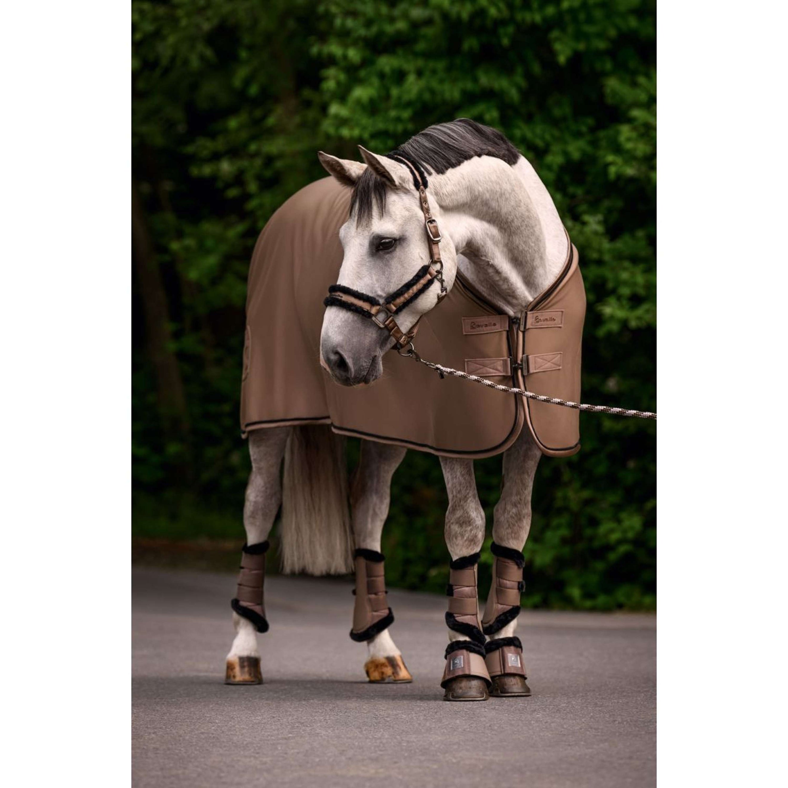 Cavallo Führstrick CavalJace mit Karabinerhaken Mocha Latte Cavallo Führstrick CavalJace mit Karabinerhaken Mocha Latte